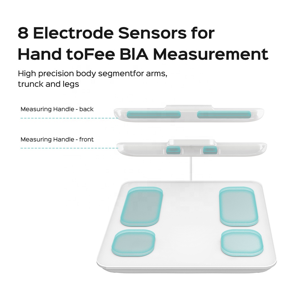 OEM gratuito Smart 180 kg Bila - Body Fat Scale Smart recensione e prezzo